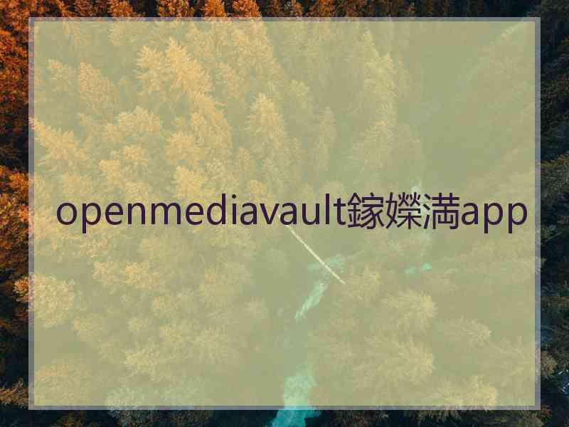 openmediavault鎵嬫満app