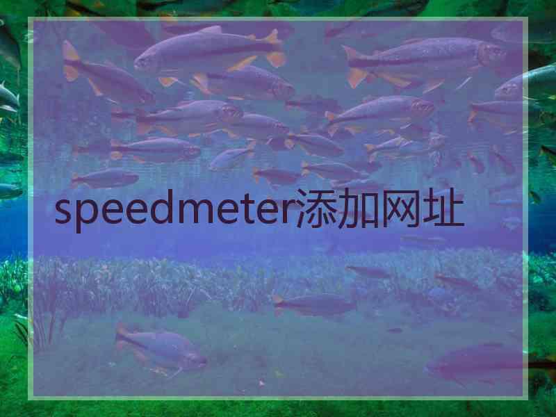 speedmeter添加网址