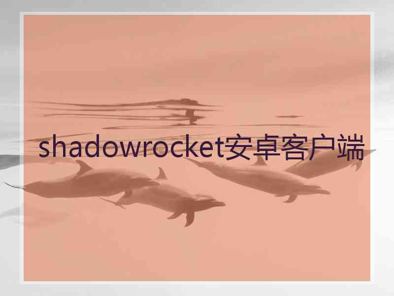 shadowrocket安卓客户端