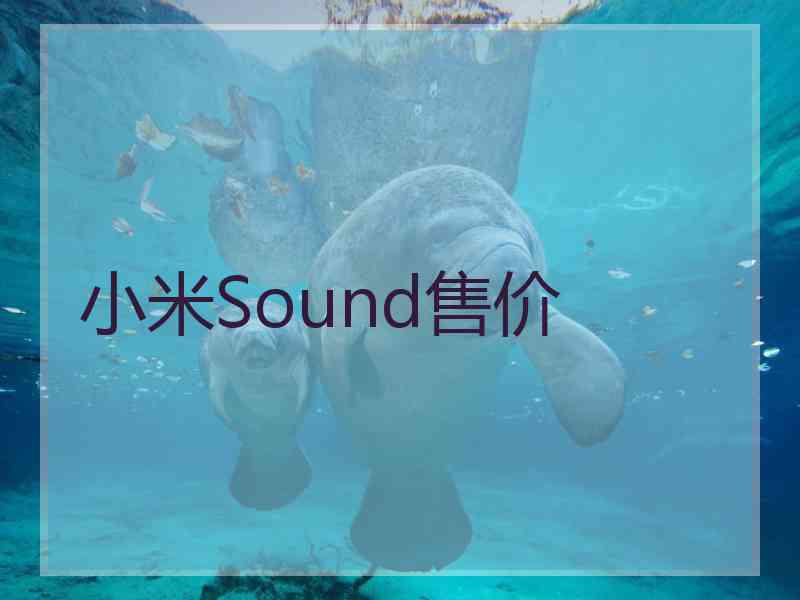 小米Sound售价