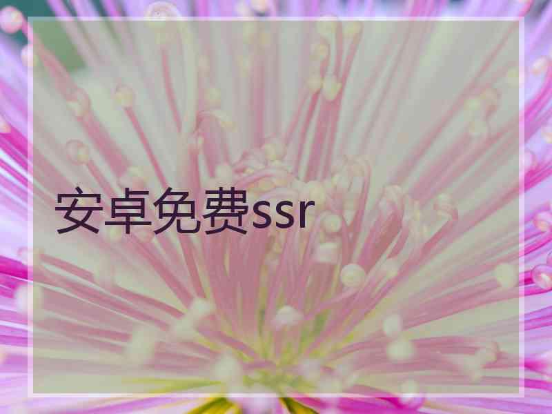 安卓免费ssr