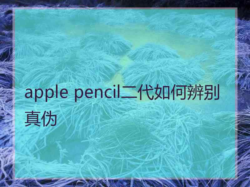 apple pencil二代如何辨别真伪