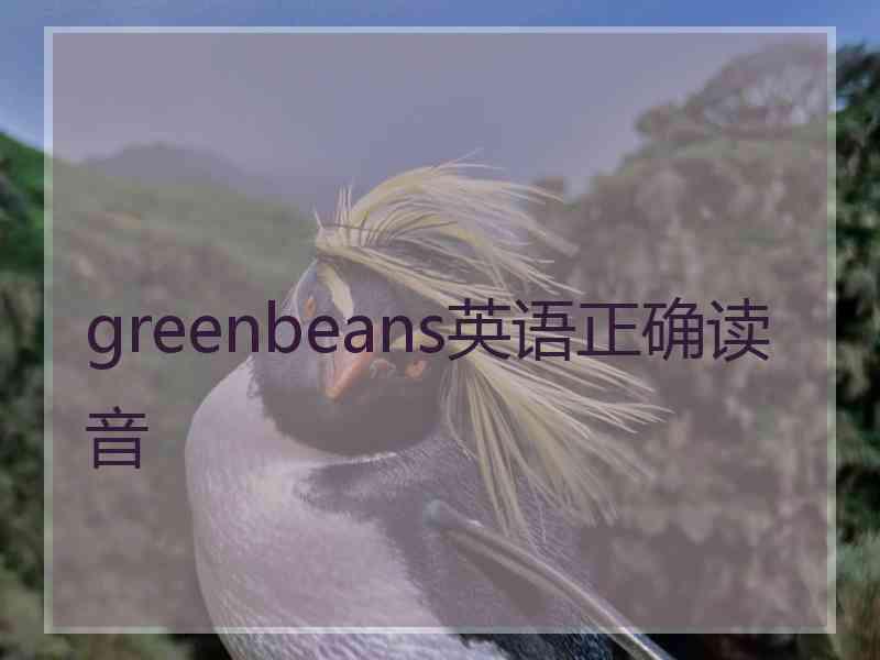 greenbeans英语正确读音