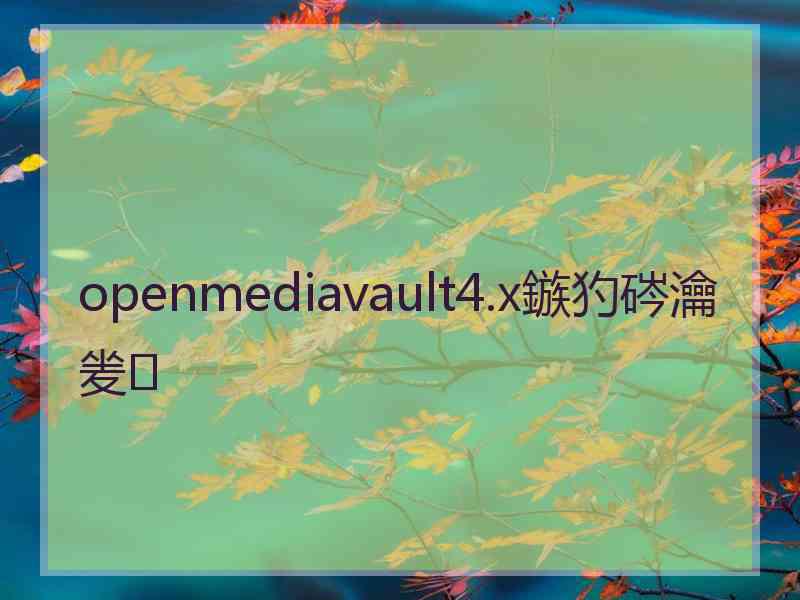 openmediavault4.x鏃犳硶瀹夎