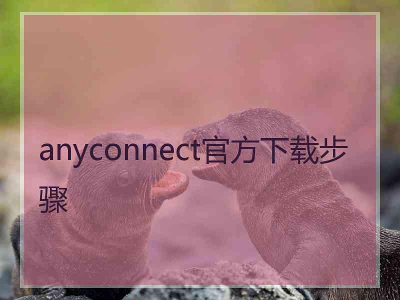 anyconnect官方下载步骤