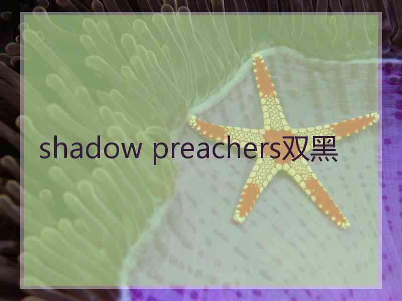 shadow preachers双黑