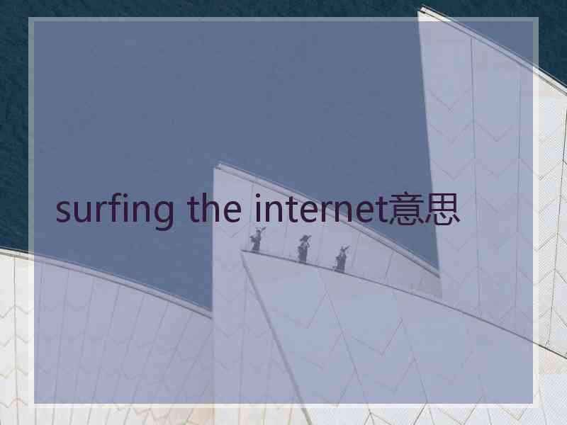 surfing the internet意思