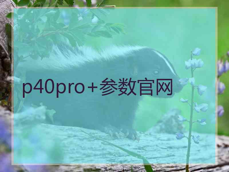 p40pro+参数官网