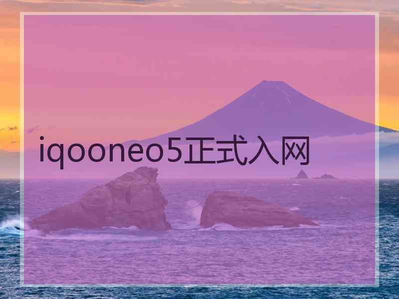iqooneo5正式入网