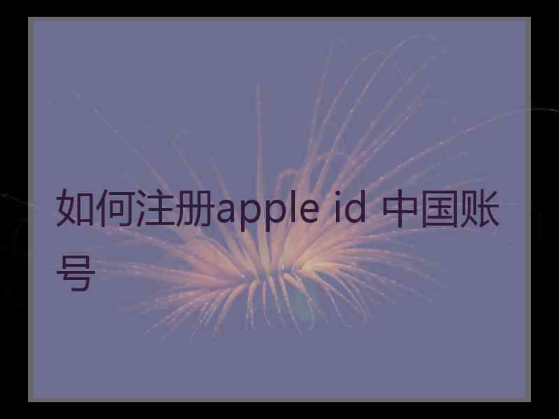 如何注册apple id 中国账号
