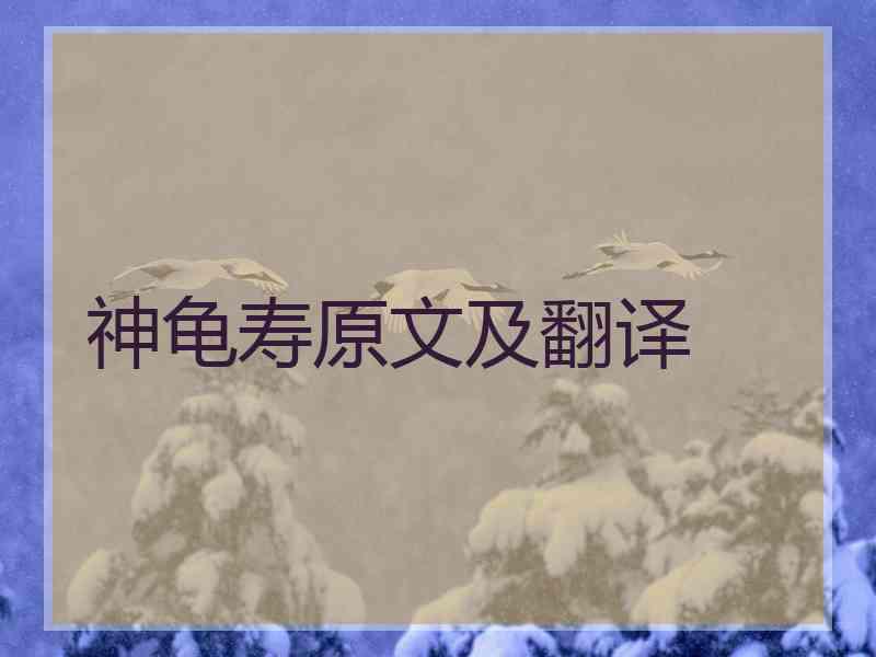 神龟寿原文及翻译
