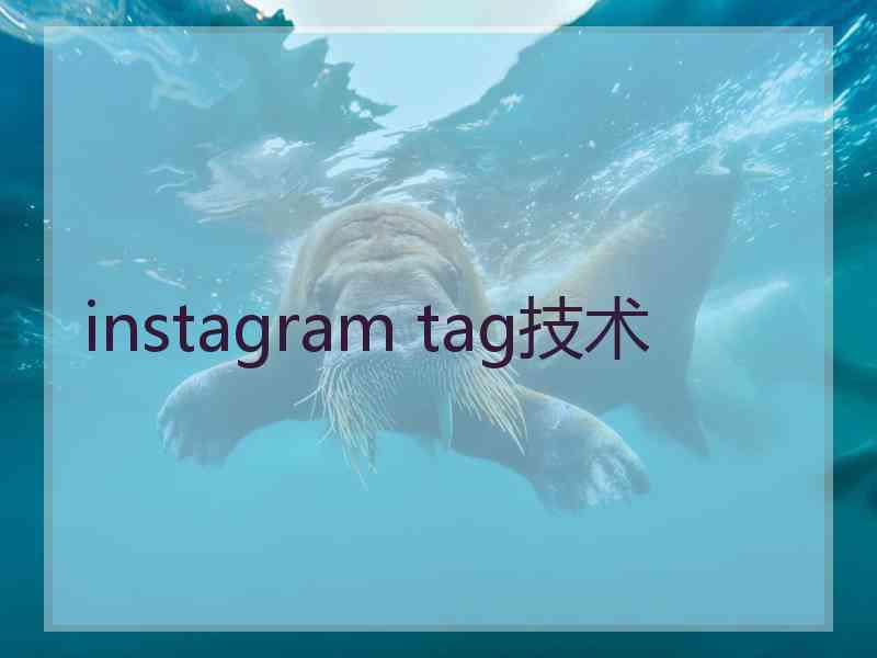 instagram tag技术