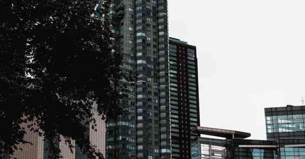 佛跳墙下载 	