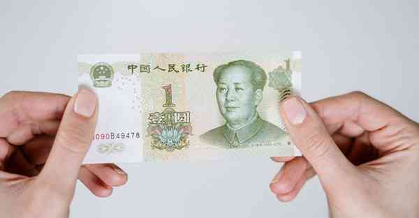 手机免费vp n