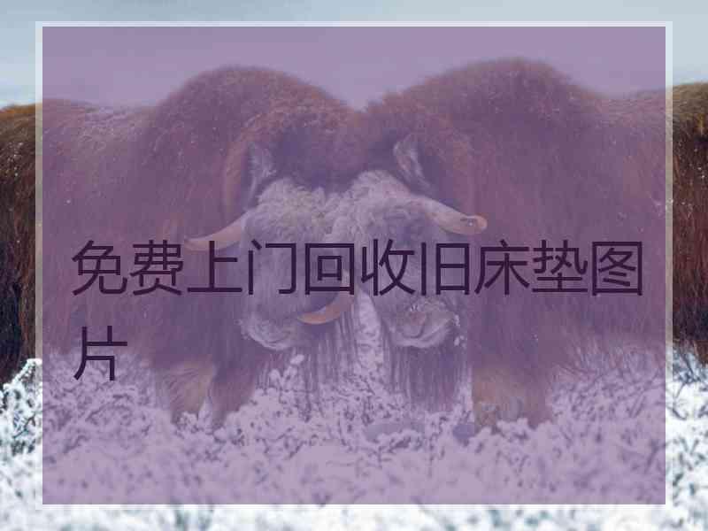 免费上门回收旧床垫图片