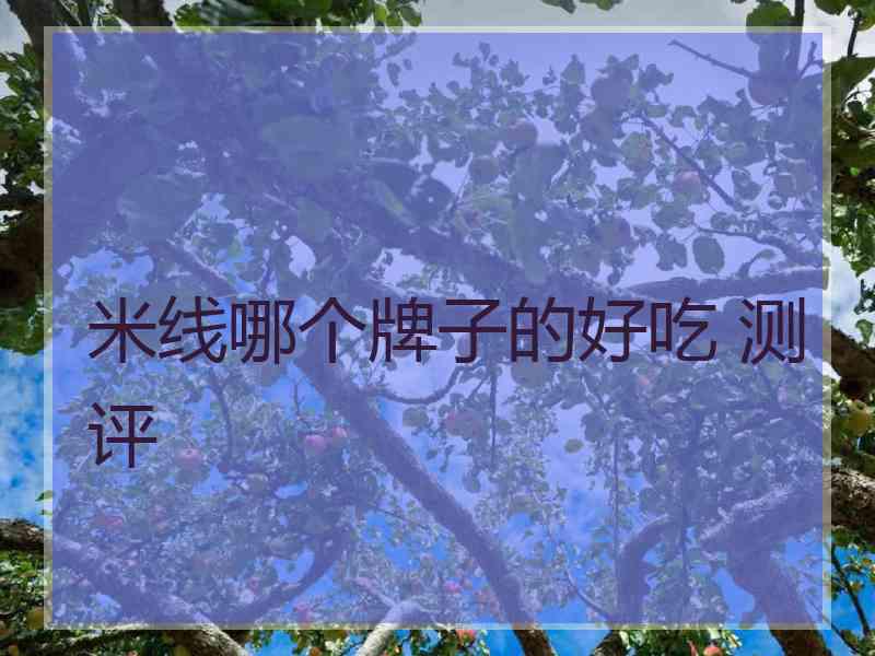 米线哪个牌子的好吃 测评