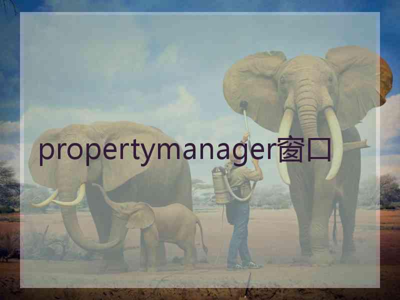 propertymanager窗口