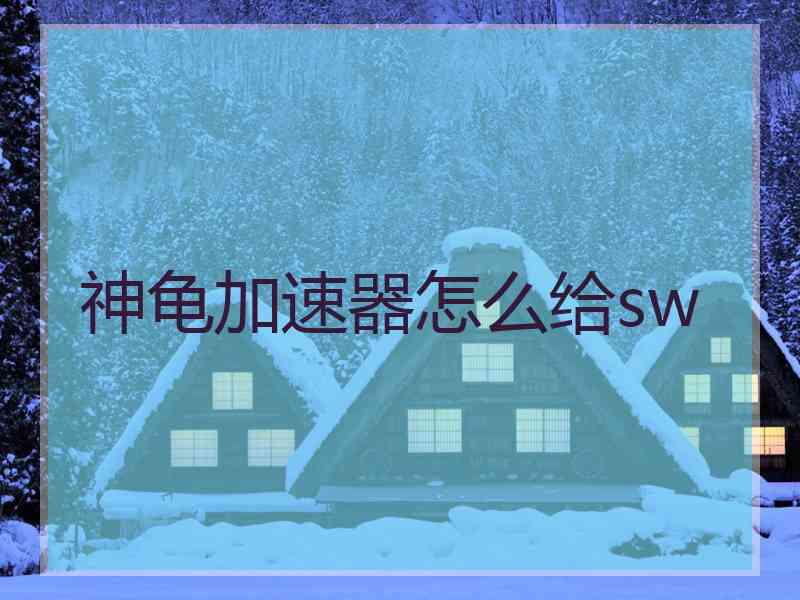 神龟加速器怎么给sw