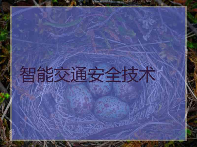 智能交通安全技术