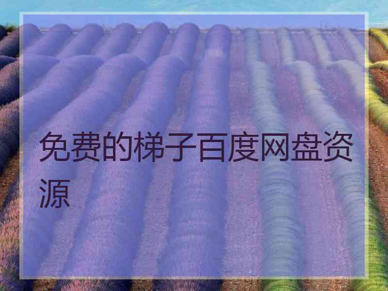 免费的梯子百度网盘资源