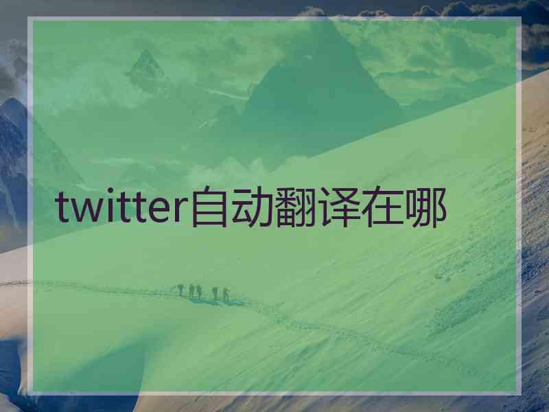twitter自动翻译在哪
