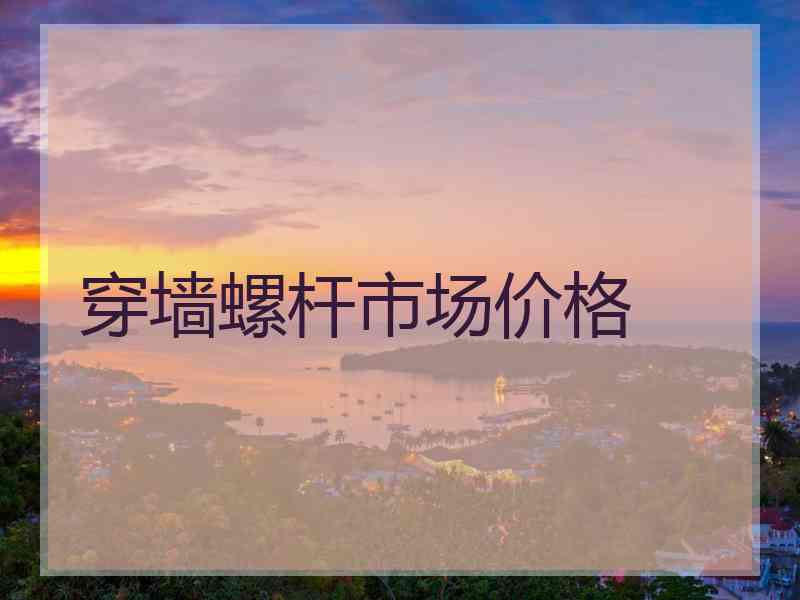 穿墙螺杆市场价格