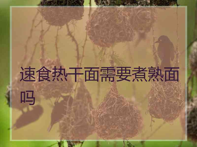 速食热干面需要煮熟面吗