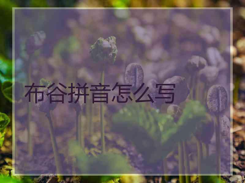布谷拼音怎么写