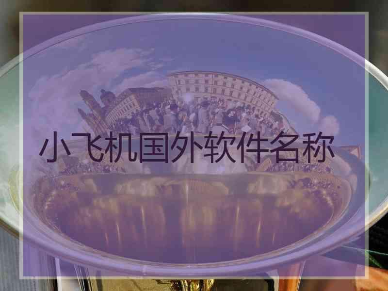 小飞机国外软件名称
