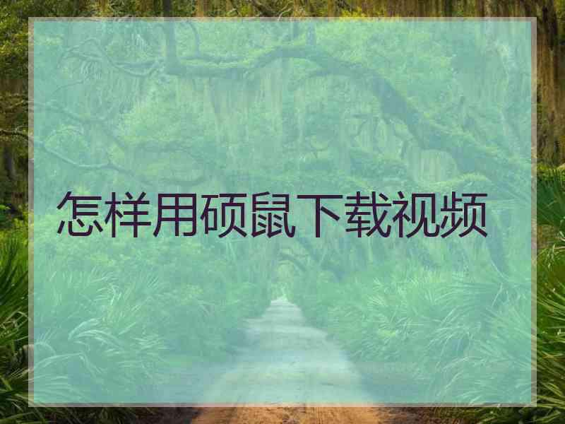 怎样用硕鼠下载视频
