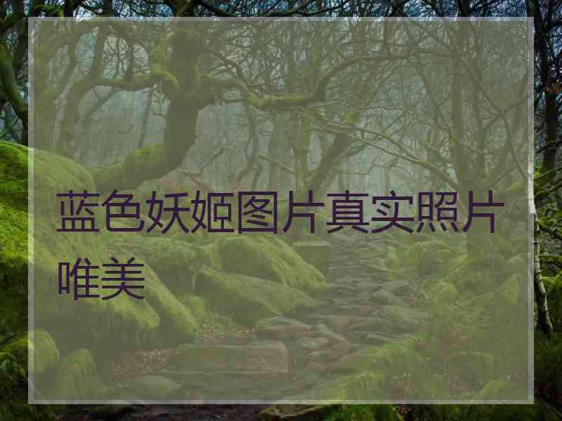 蓝色妖姬图片真实照片唯美