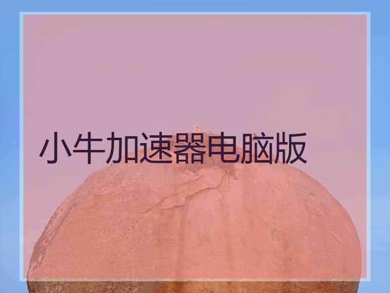 小牛加速器电脑版