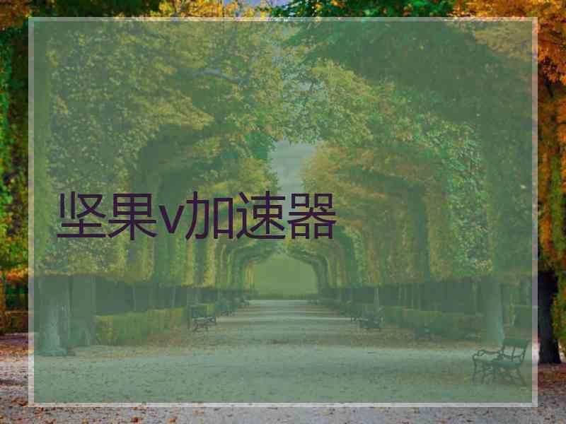 坚果v加速器