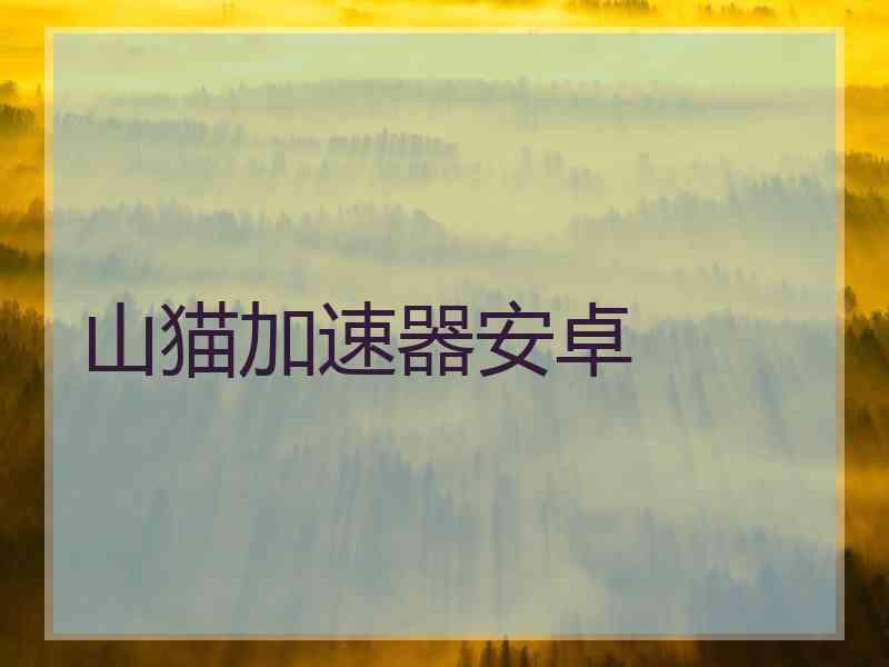 山猫加速器安卓
