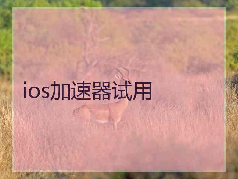 ios加速器试用