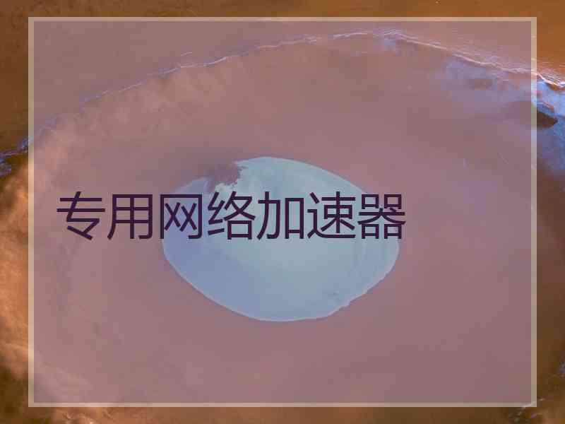 专用网络加速器
