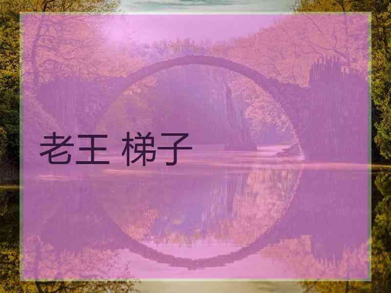 老王 梯子