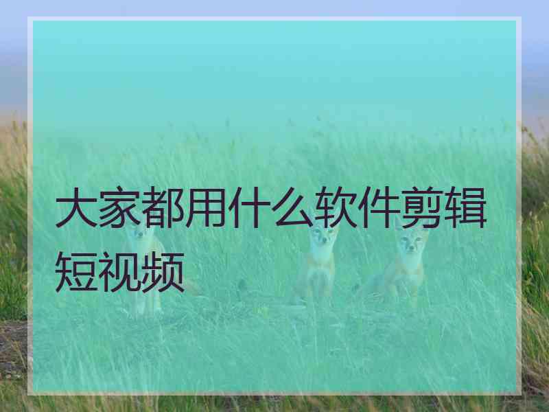 大家都用什么软件剪辑短视频