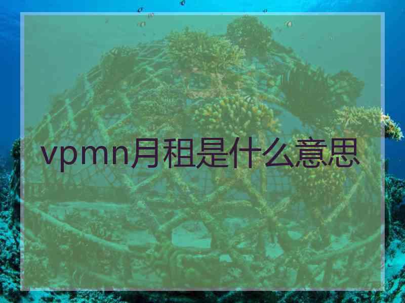 vpmn月租是什么意思