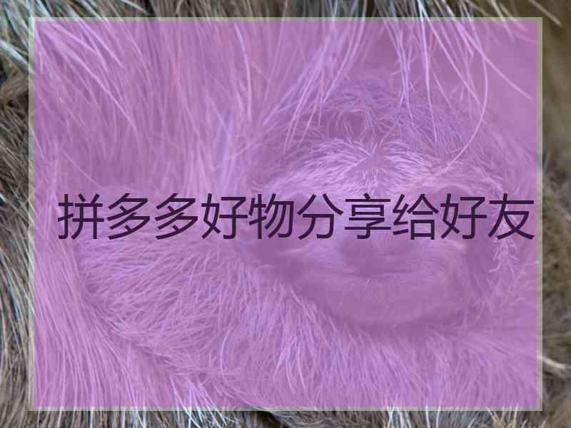 拼多多好物分享给好友