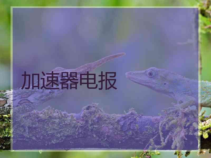 加速器电报