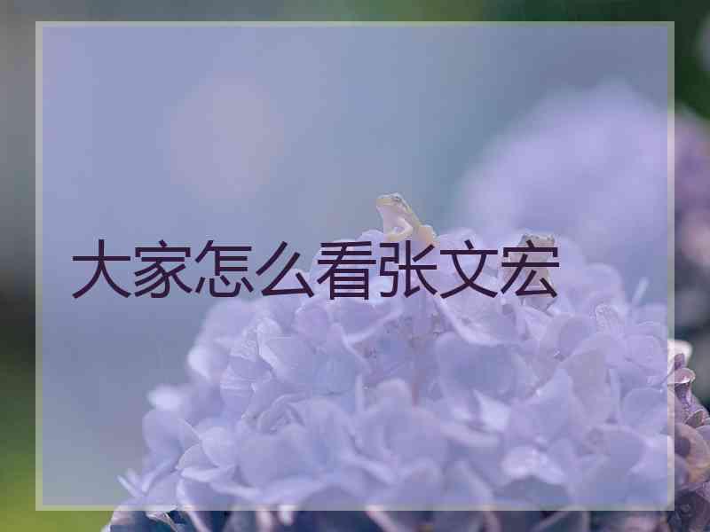 大家怎么看张文宏