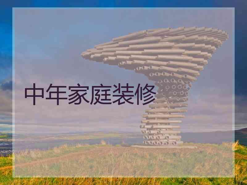 中年家庭装修