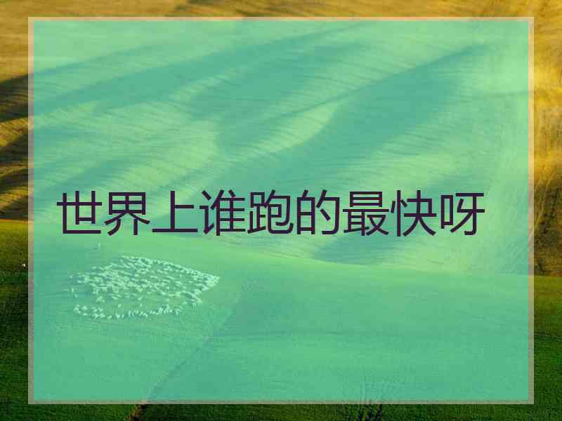世界上谁跑的最快呀