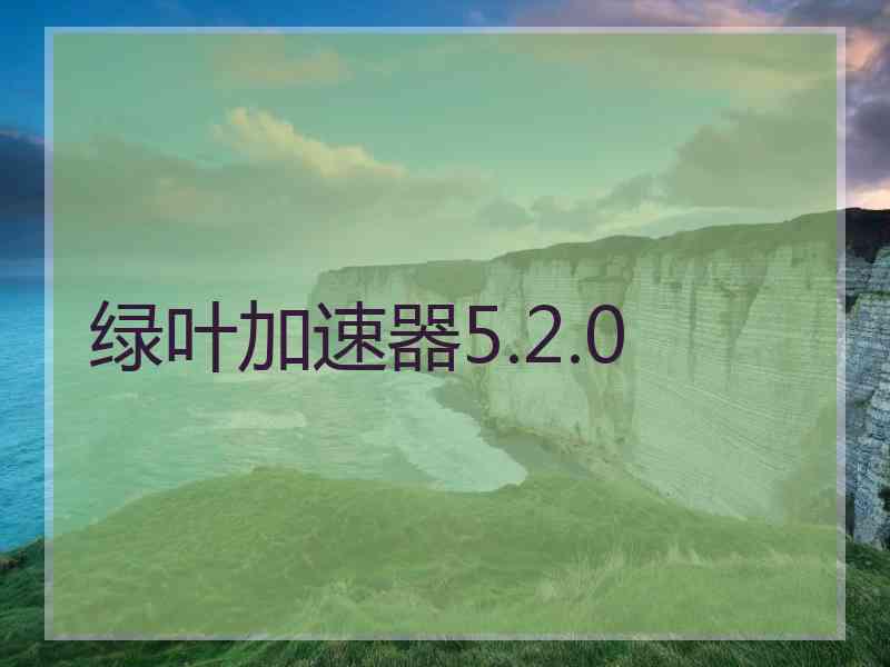 绿叶加速器5.2.0