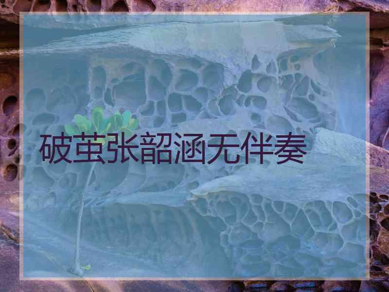 破茧张韶涵无伴奏