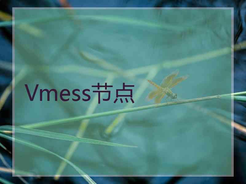 Vmess节点