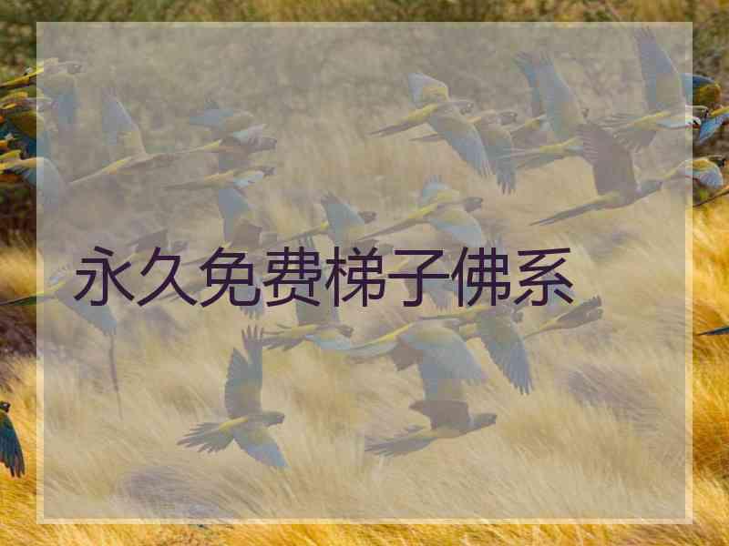 永久免费梯子佛系
