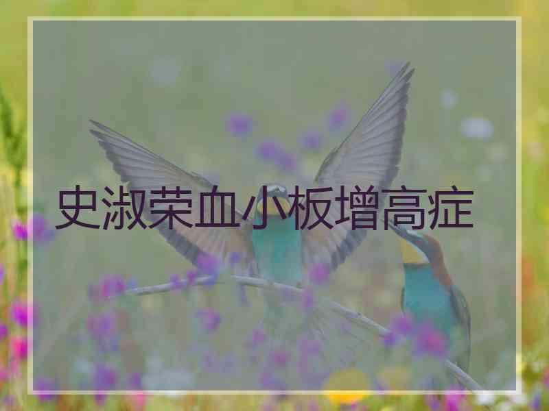 史淑荣血小板增高症