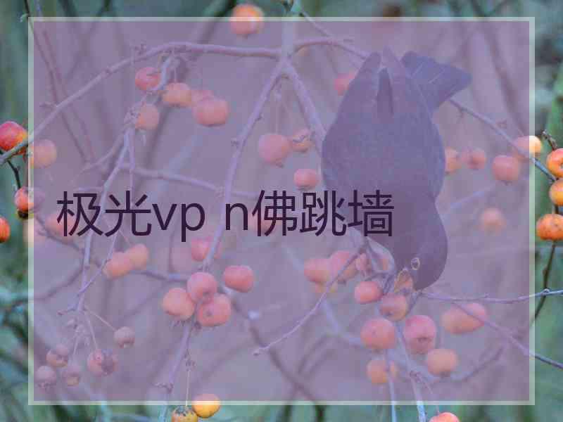 极光vp n佛跳墙